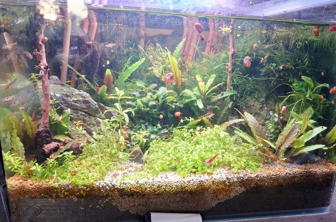 Acuario de 17 L