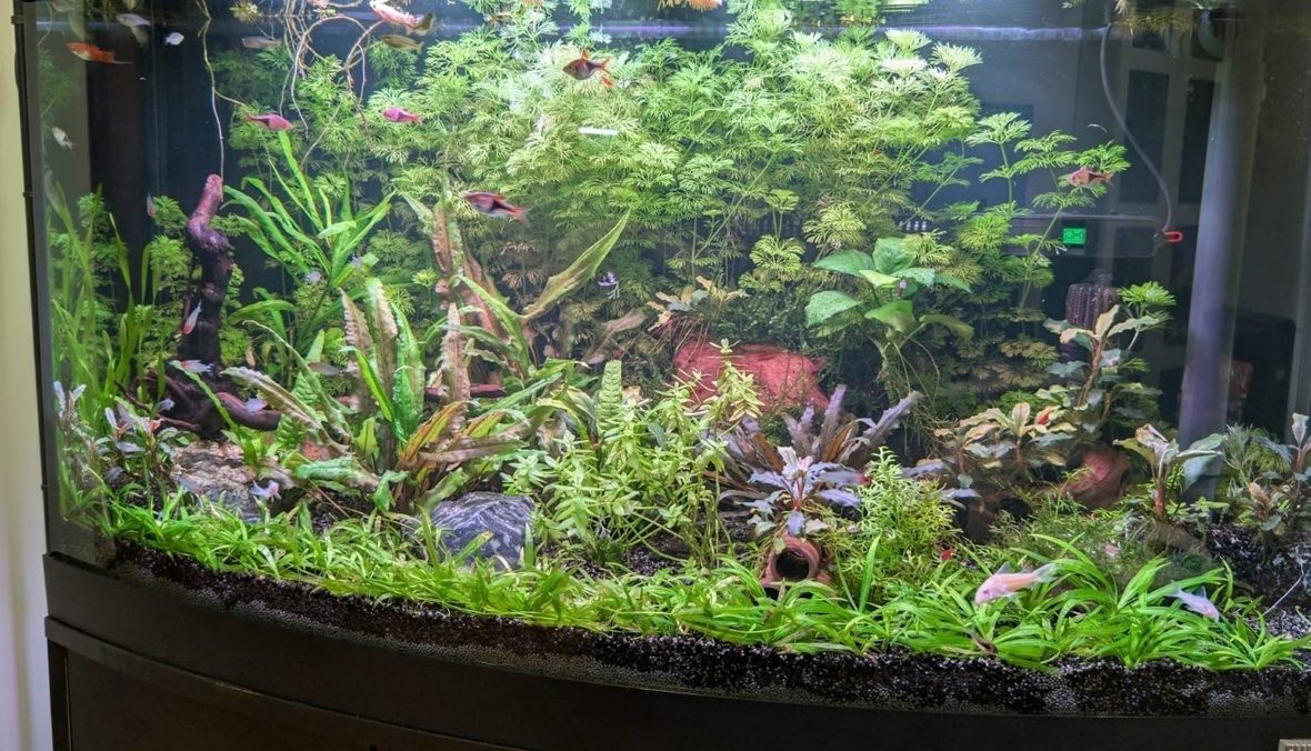 Evidencia externa de 180 L